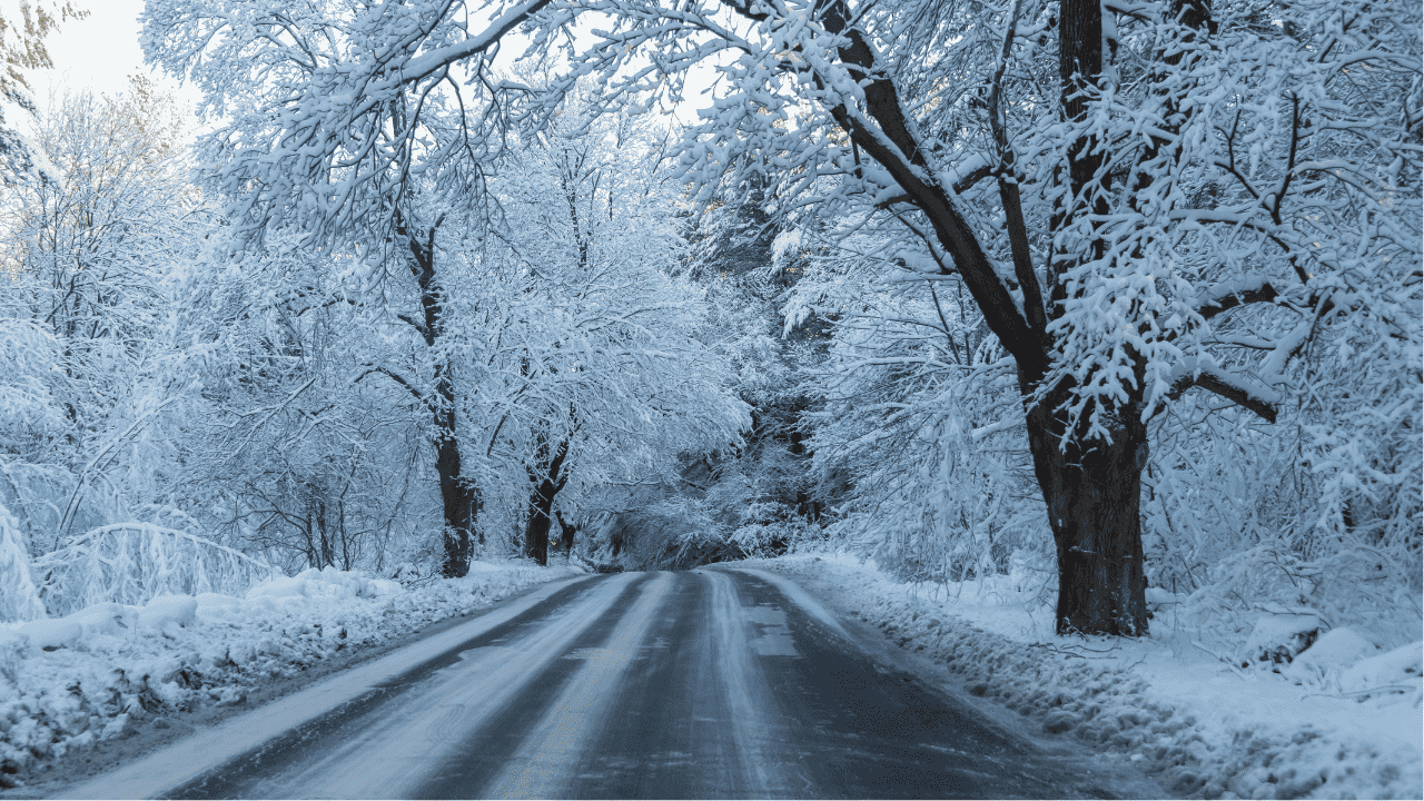 Snowy Road